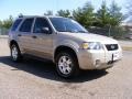 Dune Pearl Metallic - Escape XLT V6 4WD Photo No. 3