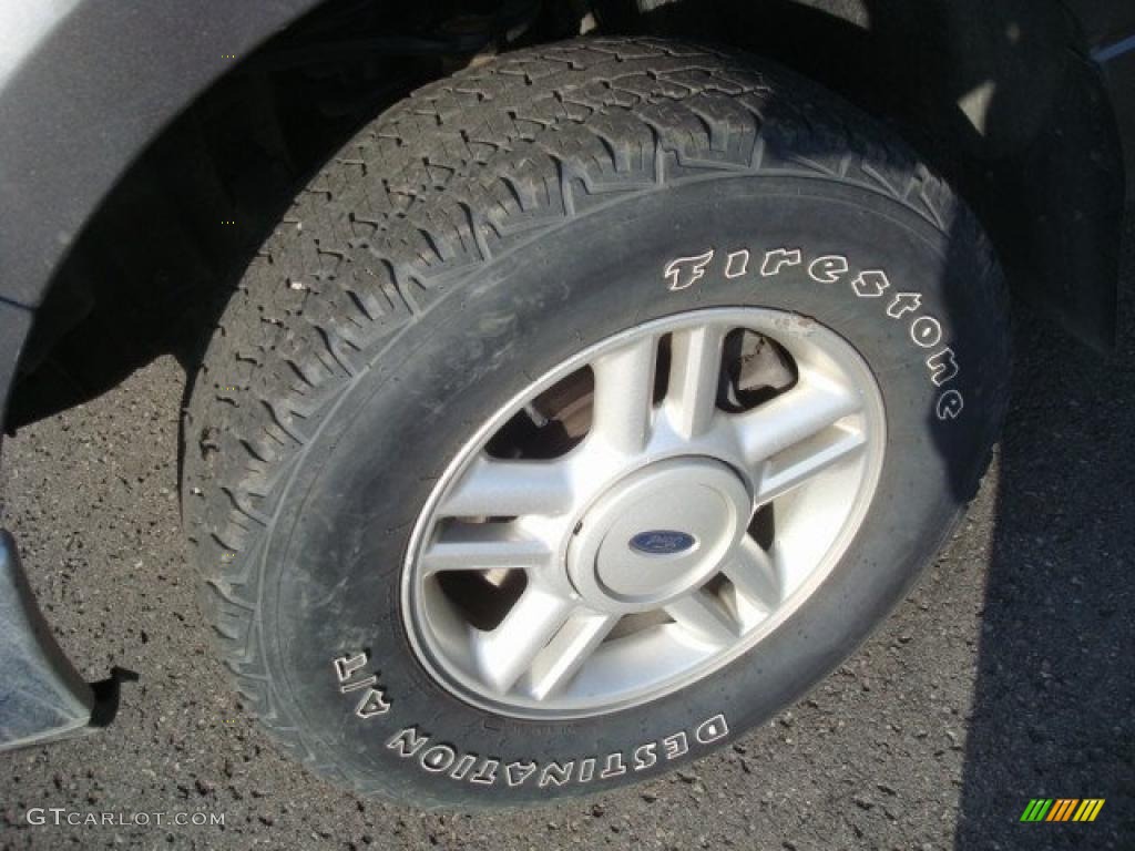 2006 F150 XLT SuperCrew 4x4 - Dark Shadow Grey Metallic / Medium/Dark Flint photo #12