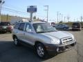 Smart Silver - Santa Fe GLS 4WD Photo No. 1