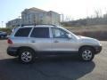 Smart Silver - Santa Fe GLS 4WD Photo No. 2