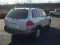 Smart Silver - Santa Fe GLS 4WD Photo No. 3