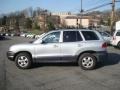 Smart Silver - Santa Fe GLS 4WD Photo No. 6