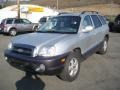 Smart Silver - Santa Fe GLS 4WD Photo No. 10