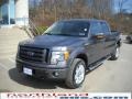 2010 Sterling Grey Metallic Ford F150 FX4 SuperCrew 4x4  photo #2