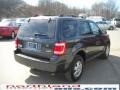 2009 Black Pearl Slate Metallic Ford Escape XLT V6 4WD  photo #6