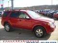 2009 Sangria Red Metallic Ford Escape XLT V6 4WD  photo #4