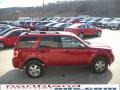 2009 Sangria Red Metallic Ford Escape XLT V6 4WD  photo #5