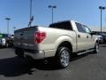 2010 Pueblo Gold Metallic Ford F150 XLT SuperCrew  photo #3