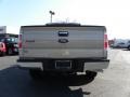 2010 Pueblo Gold Metallic Ford F150 XLT SuperCrew  photo #4