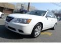 Powder White Pearl - Sonata GLS Photo No. 4
