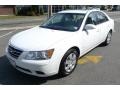 Powder White Pearl - Sonata GLS Photo No. 12