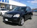 Black - ML 350 4Matic Photo No. 1