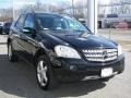 Black - ML 350 4Matic Photo No. 2