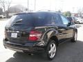 Black - ML 350 4Matic Photo No. 3