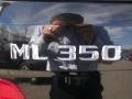 Black - ML 350 4Matic Photo No. 12