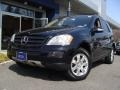 Black - ML 350 4Matic Photo No. 1