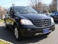 Black - ML 350 4Matic Photo No. 3