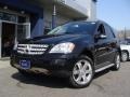 Black - ML 350 4Matic Photo No. 1
