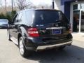 Black - ML 350 4Matic Photo No. 6