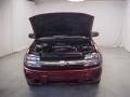 Red Jewel Tint Coat - TrailBlazer LS Photo No. 3