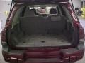 Red Jewel Tint Coat - TrailBlazer LS Photo No. 12