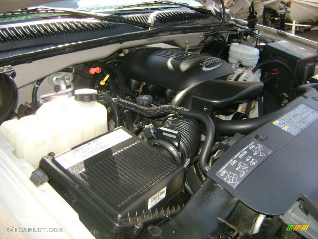 2005 Silverado 1500 LS Extended Cab - Silver Birch Metallic / Dark Charcoal photo #40