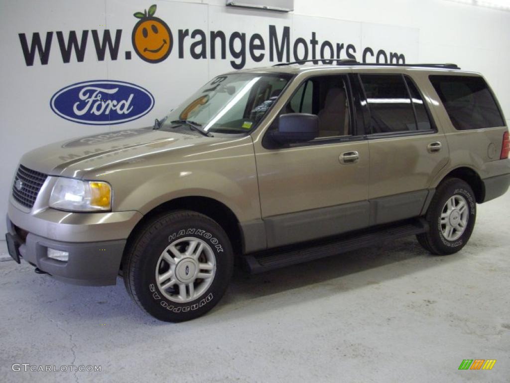 2003 Expedition XLT 4x4 - Arizona Beige Metallic / Medium Parchment photo #1
