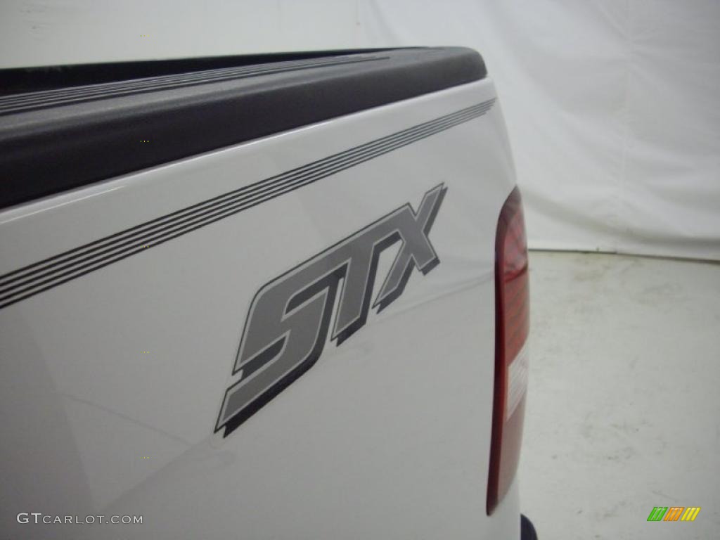 2004 F150 STX Regular Cab - Oxford White / Dark Flint photo #5
