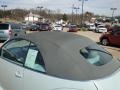 Aquarius Blue - New Beetle 2.5 Convertible Photo No. 19