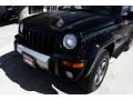 2003 Black Clearcoat Jeep Liberty Renegade 4x4  photo #17