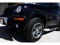 2003 Black Clearcoat Jeep Liberty Renegade 4x4  photo #22