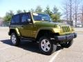 Rescue Green Metallic - Wrangler Sahara 4x4 Photo No. 3