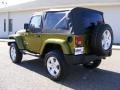 Rescue Green Metallic - Wrangler Sahara 4x4 Photo No. 6