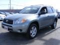 Everglade Metallic - RAV4  Photo No. 7