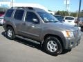 Granite Metallic - Xterra SE Photo No. 7