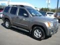 2005 Granite Metallic Nissan Xterra SE  photo #7