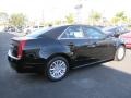 Black Raven - CTS 3.0 Sedan Photo No. 4