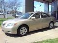 Desert Sand Mica - Camry LE Photo No. 18