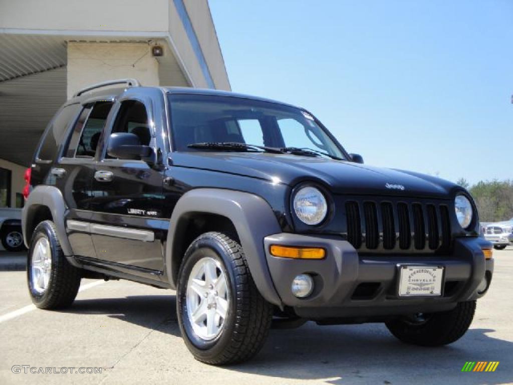 Jeep Liberty Black 2002