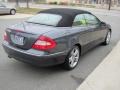 Steel Grey Metallic - CLK 350 Cabriolet Photo No. 5