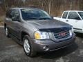 Steel Grey Metallic - Envoy SLE 4x4 Photo No. 1