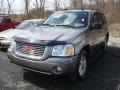 Steel Grey Metallic - Envoy SLE 4x4 Photo No. 5