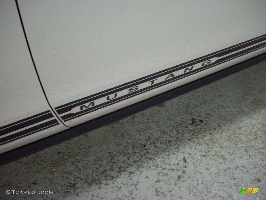 2010 Mustang V6 Premium Convertible - Performance White / Saddle photo #12