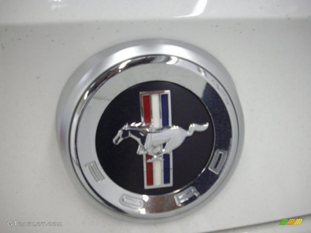 2010 Mustang V6 Premium Convertible - Performance White / Saddle photo #13