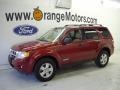 2008 Redfire Metallic Ford Escape XLT  photo #1