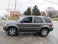 2004 Dark Shadow Grey Metallic Ford Escape Limited 4WD  photo #5