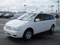 2009 Clear White Kia Sedona LX  photo #5