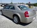 Light Sandstone Metallic - 300 Touring Photo No. 6
