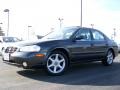 Gray Lustre Metallic - Maxima SE Photo No. 5