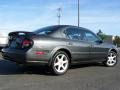 Gray Lustre Metallic - Maxima SE Photo No. 7